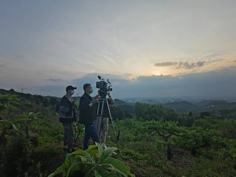 创意破圈！辽源电商产品宣传视频用故事化叙事引爆流量