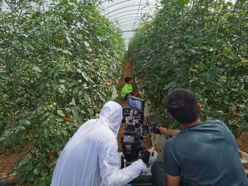 辽源产品宣传视频拍摄公司进阶指南，助力品牌抢占传播高地